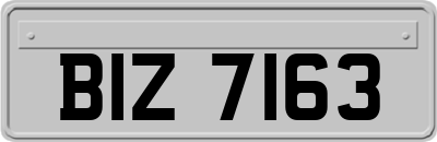 BIZ7163