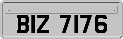 BIZ7176