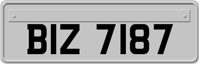 BIZ7187