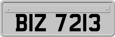 BIZ7213