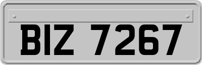 BIZ7267