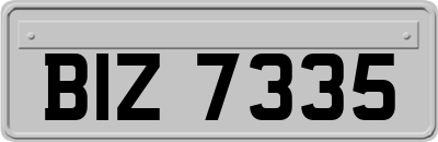 BIZ7335