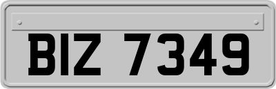 BIZ7349