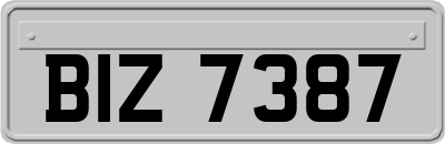 BIZ7387