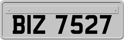 BIZ7527
