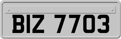BIZ7703