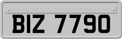 BIZ7790