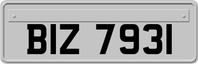 BIZ7931