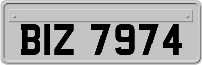 BIZ7974