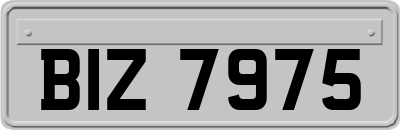 BIZ7975