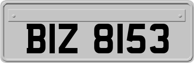 BIZ8153