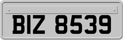 BIZ8539