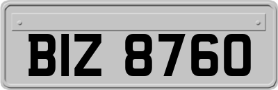 BIZ8760