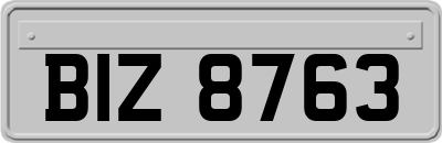 BIZ8763