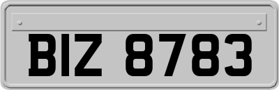 BIZ8783