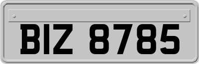 BIZ8785