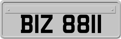 BIZ8811