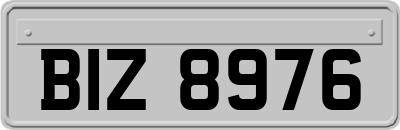 BIZ8976