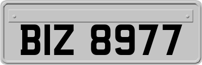 BIZ8977