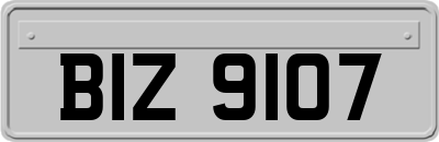 BIZ9107
