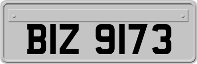BIZ9173