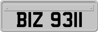 BIZ9311