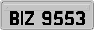 BIZ9553