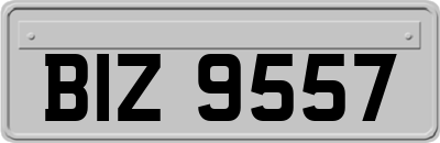 BIZ9557