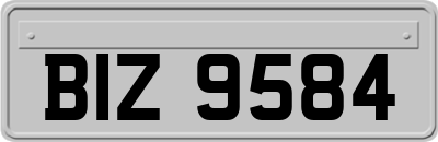 BIZ9584