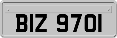 BIZ9701