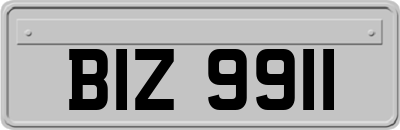 BIZ9911