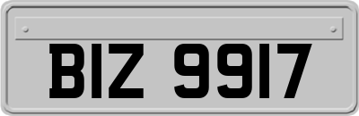 BIZ9917