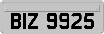 BIZ9925