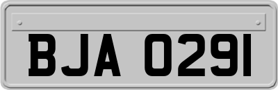 BJA0291