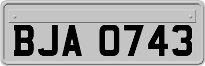 BJA0743