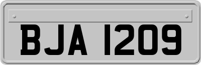 BJA1209
