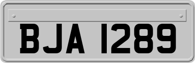 BJA1289