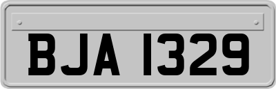 BJA1329