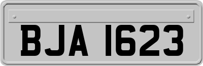 BJA1623