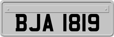 BJA1819