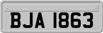 BJA1863