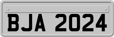 BJA2024
