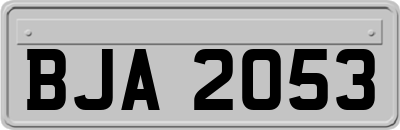 BJA2053