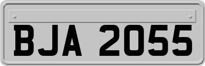 BJA2055