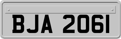 BJA2061