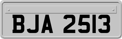 BJA2513