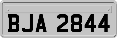 BJA2844