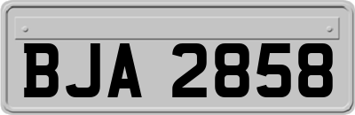 BJA2858
