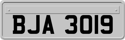 BJA3019