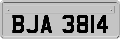 BJA3814